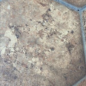 Meet your Posher, Fay